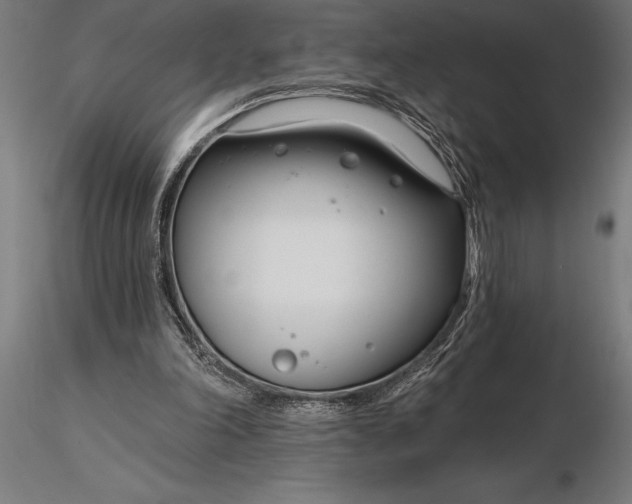 X0000116160198200912141228