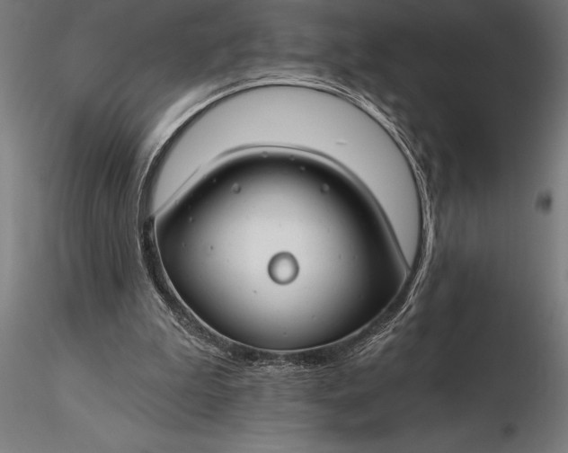 X0000116160199200912141228