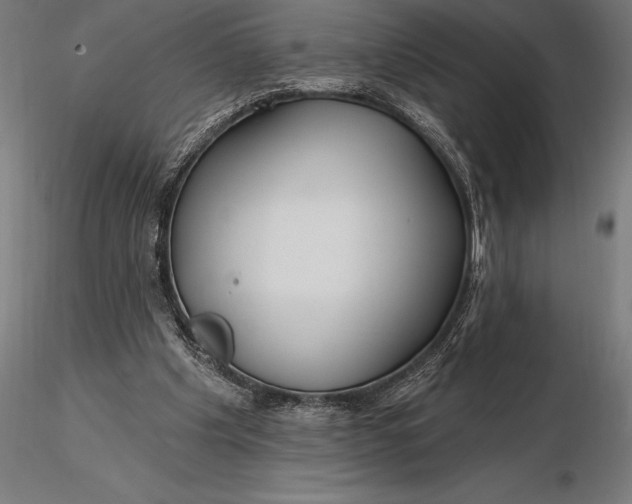 X0000116160201200912141228