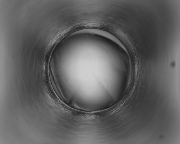 X0000116160202200912141228