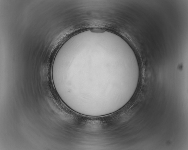 X0000116160203200912141228
