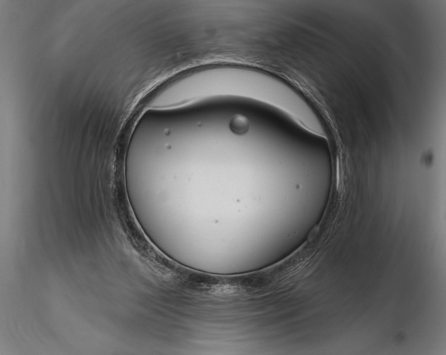 X0000116160204200912141228