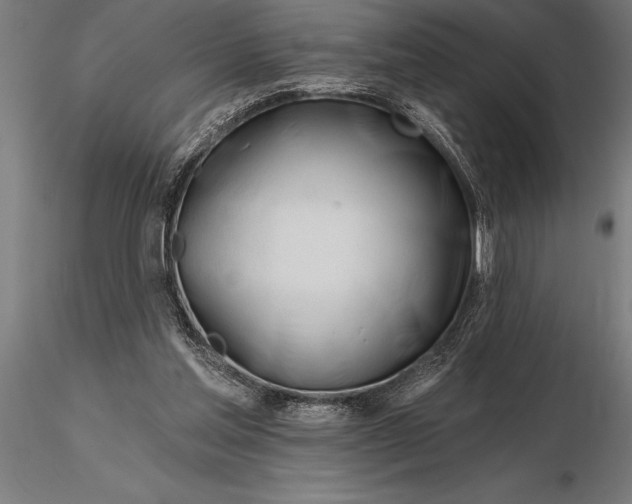 X0000116160205200912141228
