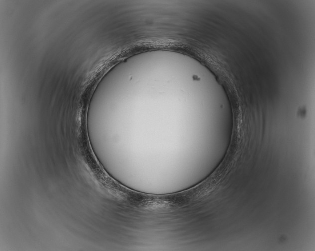 X0000116160206200912141228