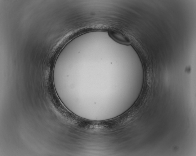 X0000116160208200912141228