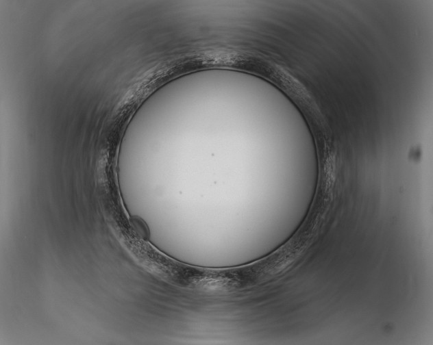 X0000116160209200912141228