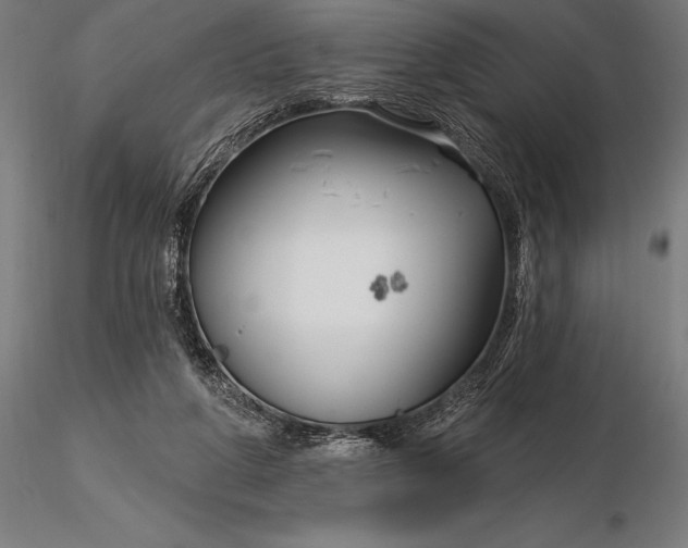 X0000116160210200912141228