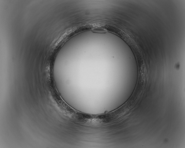 X0000116160212200912141228
