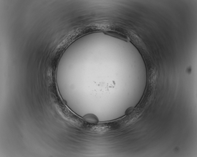 X0000116160213200912141228