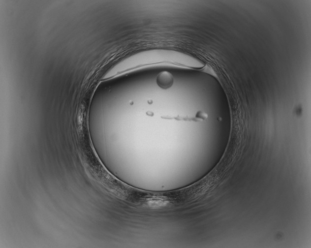 X0000116160214200912141228