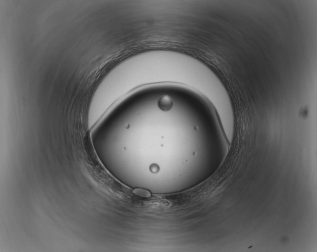 X0000116160215200912141228