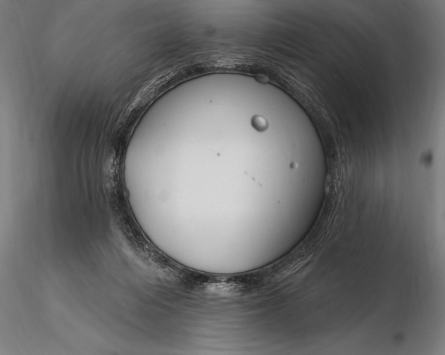 X0000116160216200912141228