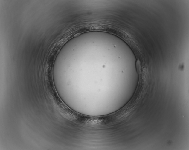 X0000116160217200912141228