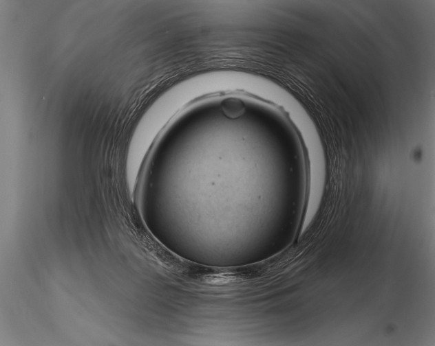 X0000116160219200912141228