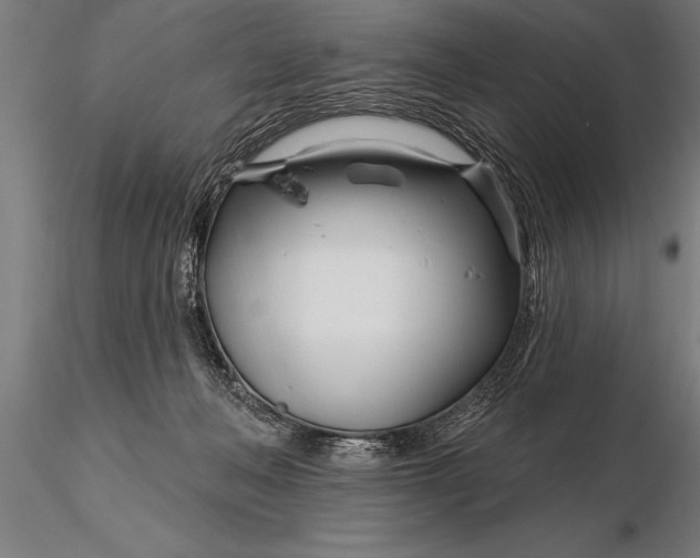 X0000116160222200912141228