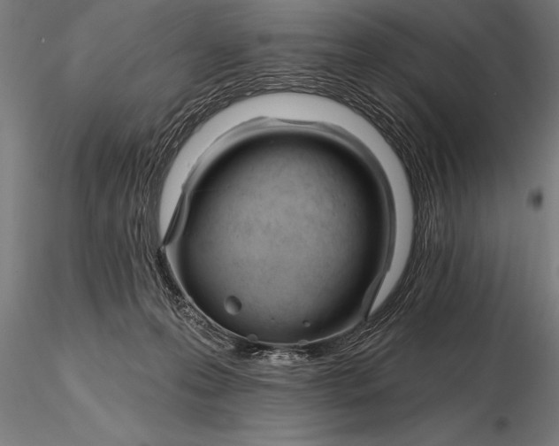 X0000116160223200912141228