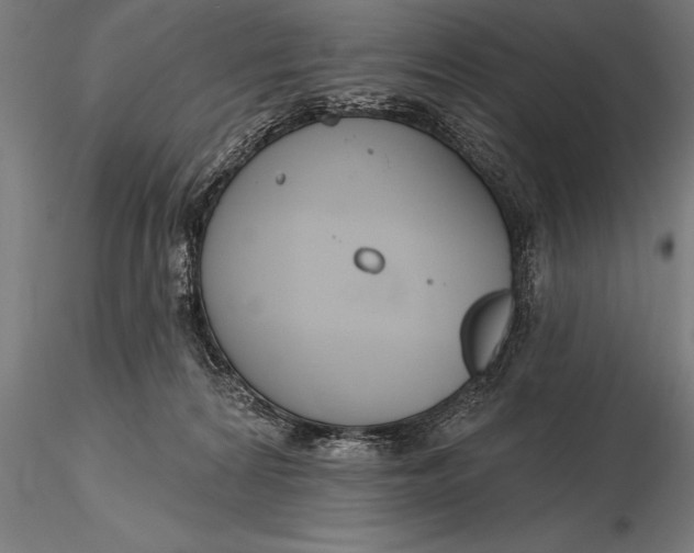 X0000116160224200912141228