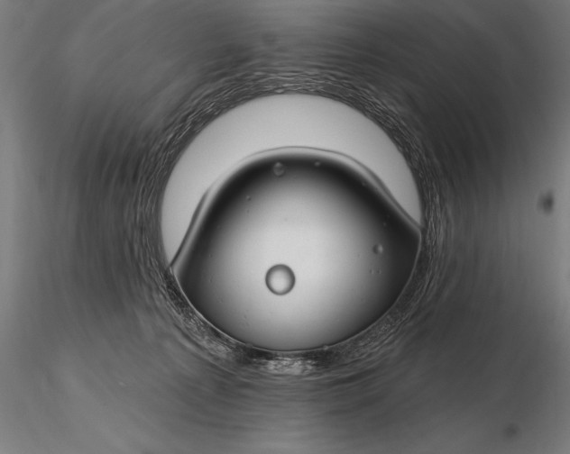 X0000116160225200912141228