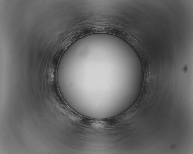 X0000116160226200912141228