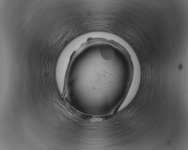 X0000116160227200912141228