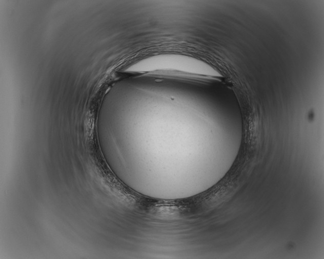 X0000116160228200912141228