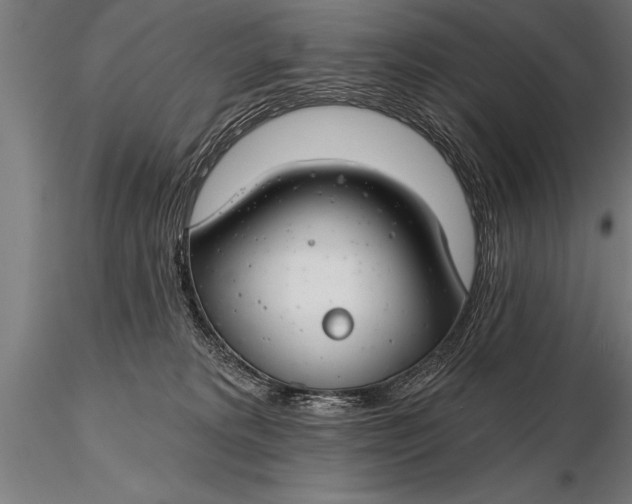X0000116160229200912141228