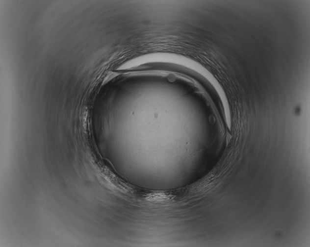 X0000116160231200912141228
