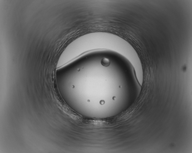X0000116160233200912141228