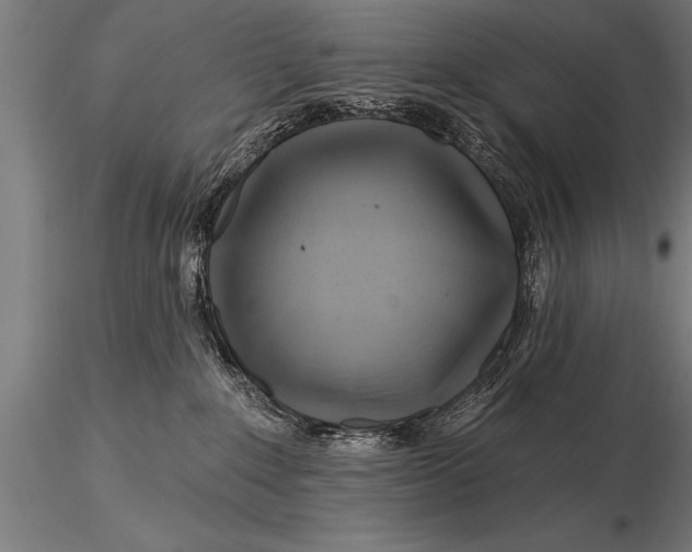 X0000116160235200912141228