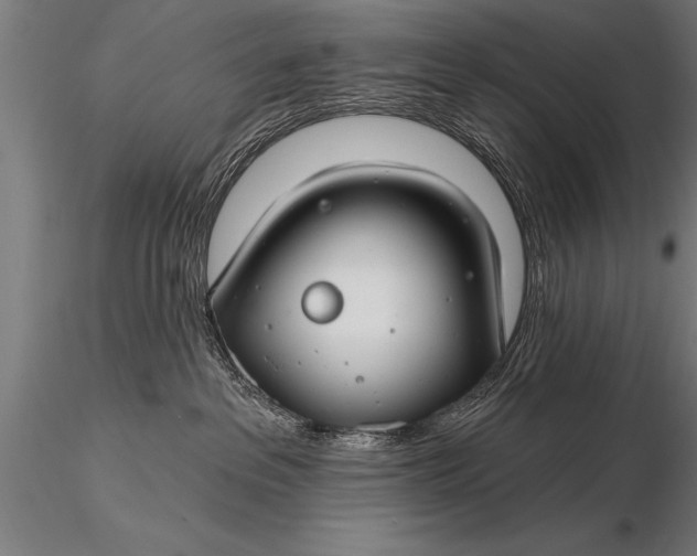 X0000116160237200912141228