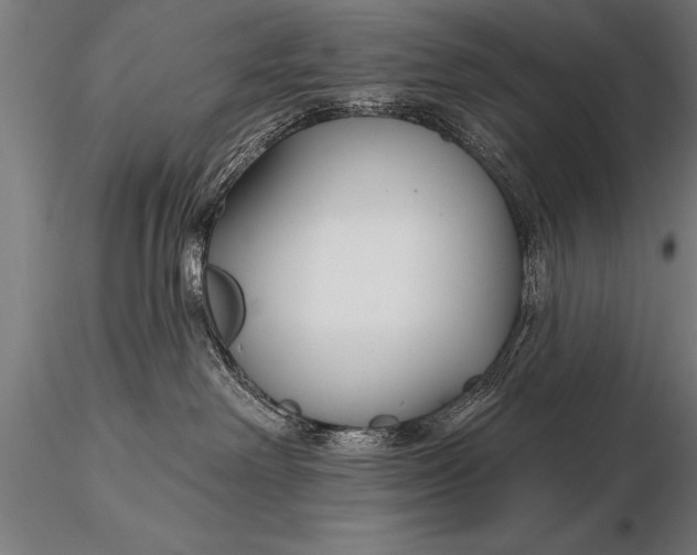 X0000116160238200912141228