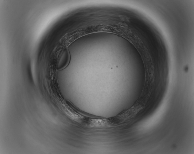X0000116160239200912141228