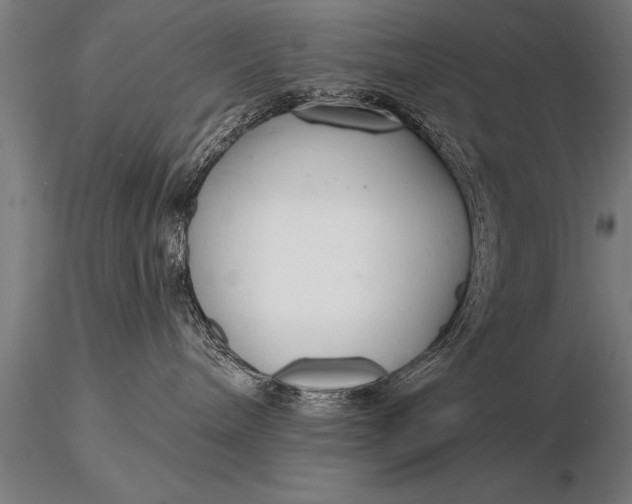 X0000116160240200912141228