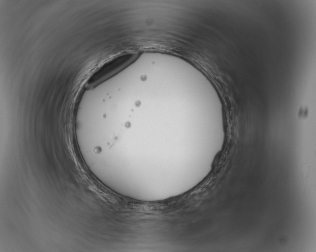 X0000116160241200912141227