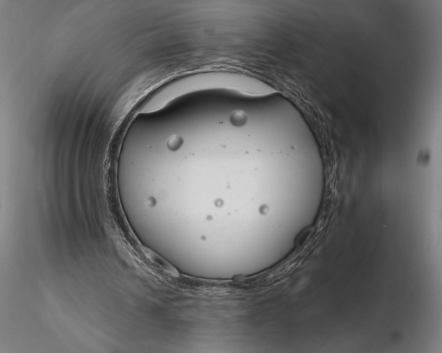 X0000116160242200912141227