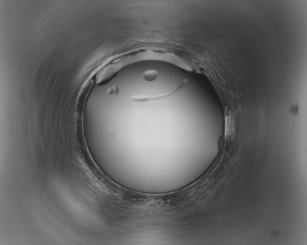 X0000116160243200912141227