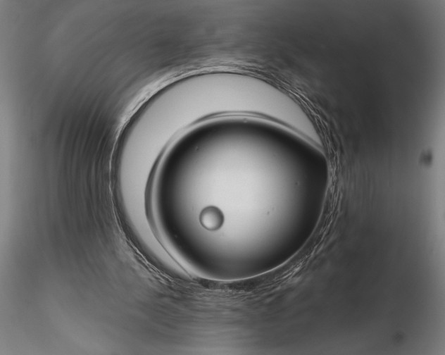 X0000116160244200912141227
