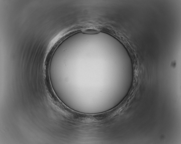X0000116160246200912141227