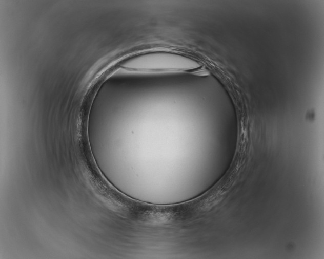 X0000116160247200912141227