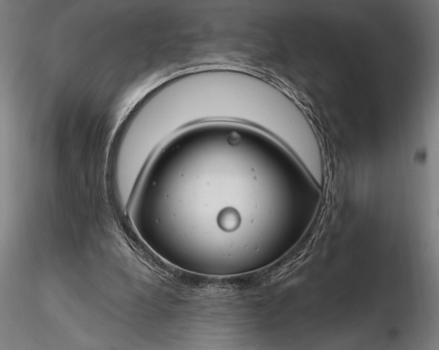 X0000116160248200912141227