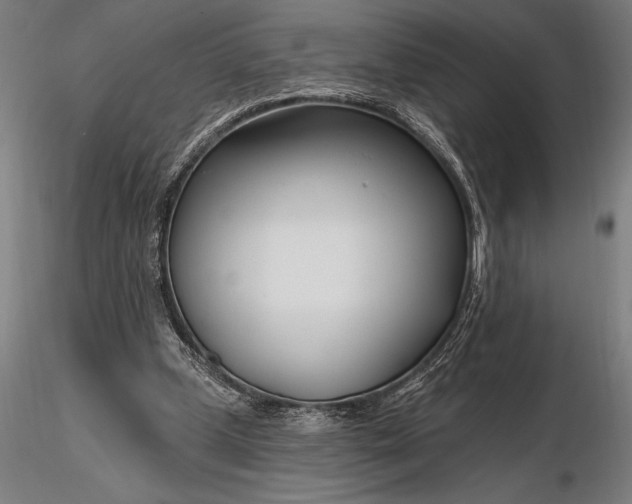 X0000116160249200912141227