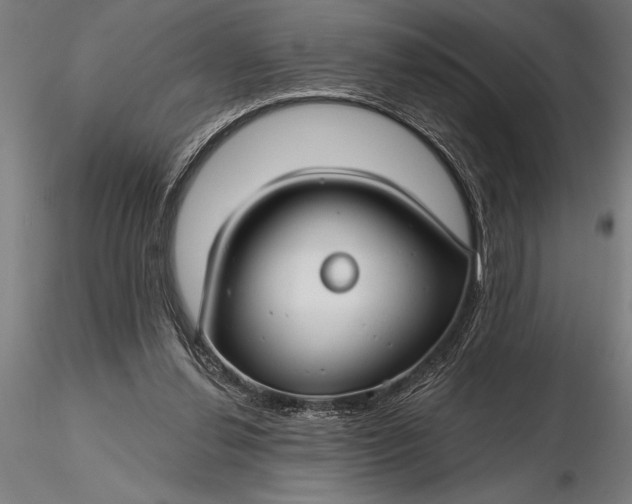 X0000116160252200912141227