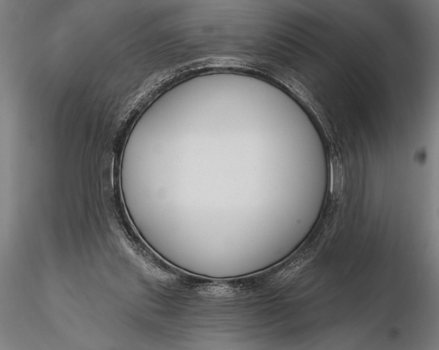 X0000116160253200912141227