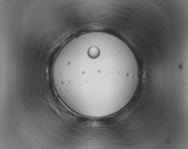 X0000116160254200912141227