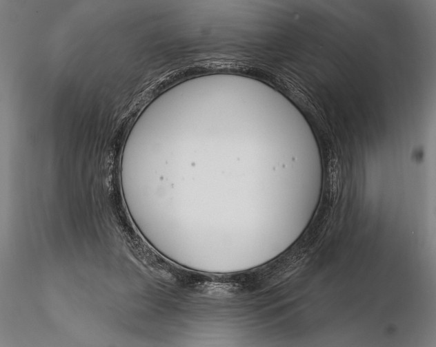 X0000116160255200912141227