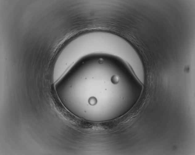 X0000116160256200912141227