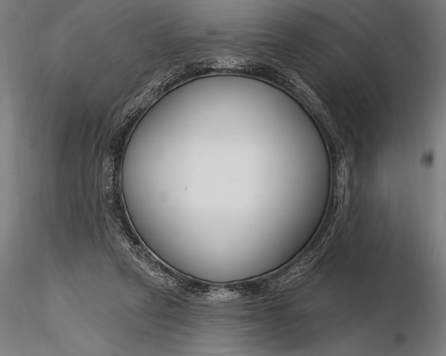 X0000116160257200912141227