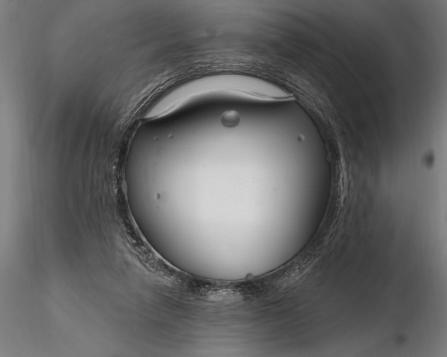 X0000116160258200912141227