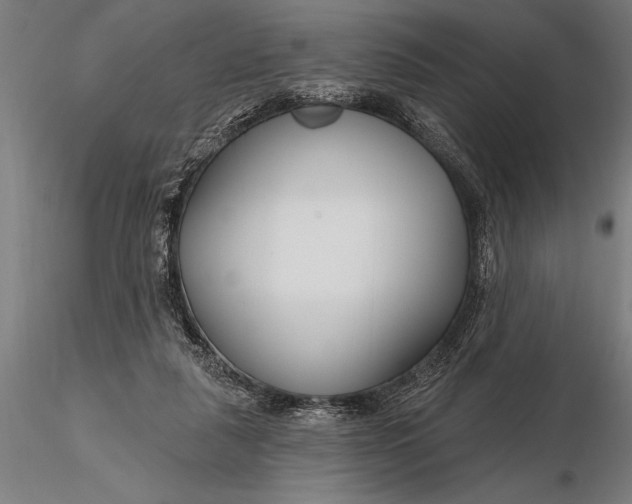 X0000116160259200912141227