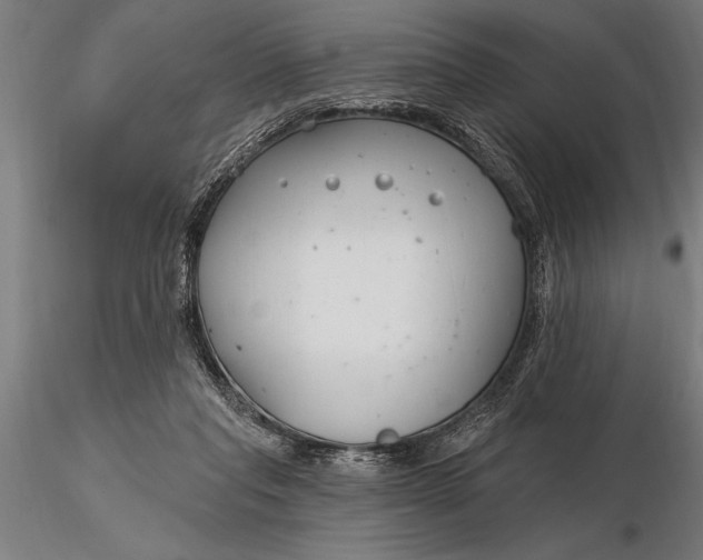 X0000116160261200912141227